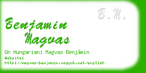 benjamin magvas business card